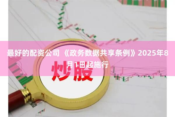 最好的配资公司 《政务数据共享条例》2025年8月1日起施行